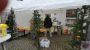 IMG-20161120-WA0029